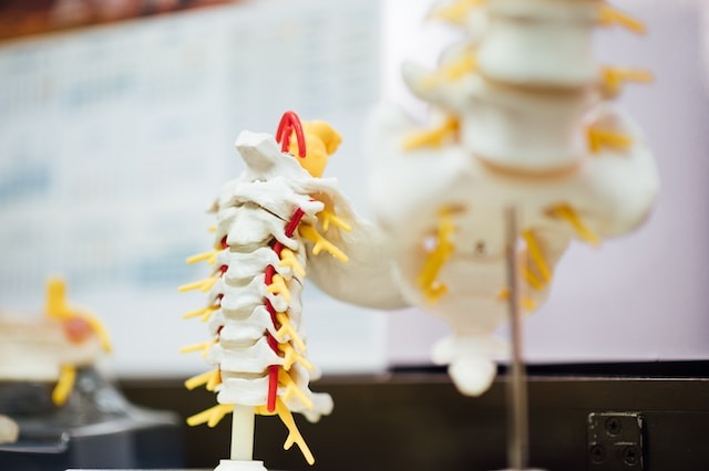 preventing spinal cord injuries