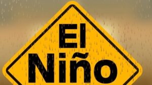 How to Avoid a Car Accident During El Nino